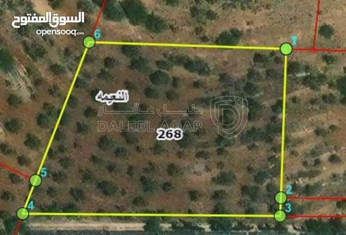 أرض في اراضي نعيمه  - 48,000 دأ - صورة 1