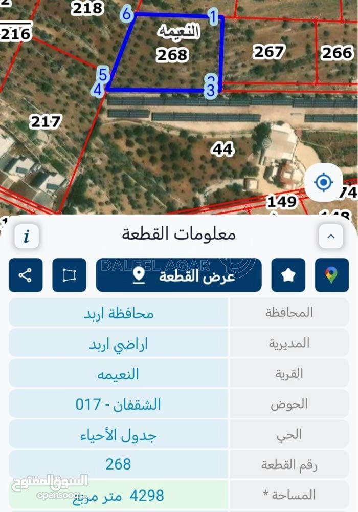 أرض في اراضي نعيمه  - 48,000 دأ - صورة 1