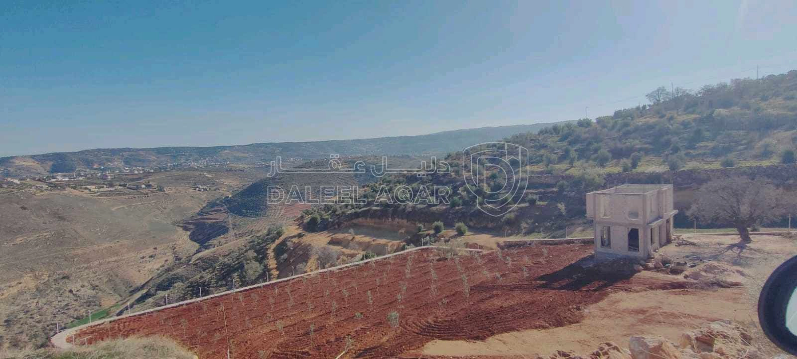 أرض في السلط الصبيحي بيوضه - 140,000 دأ - صورة 1