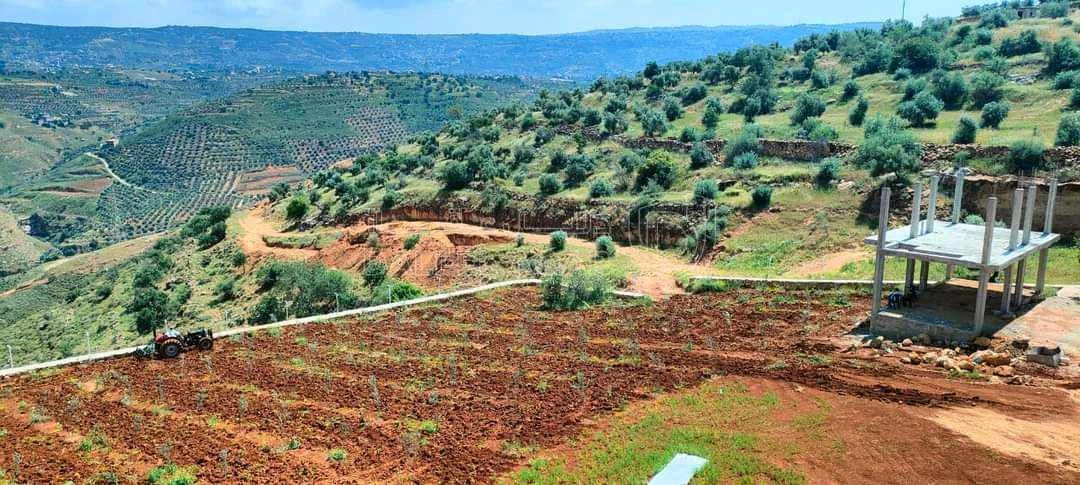 أرض في السلط الصبيحي بيوضه - 140,000 دأ - صورة 1