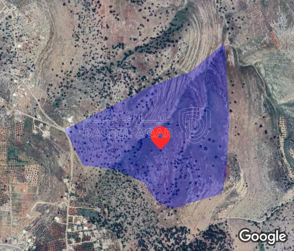 أرض في عجلون قريبه من بلده حلاوه مساحه 23 دونم القطعه  - 60,000 دأ - صورة 1