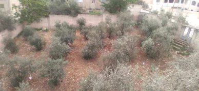 أرض في اربد _ حنينا  حي الشرقي _ الوادي جنوب مسجد الطيطي - 27,000 دأ - صورة NaN