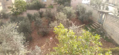 أرض في اربد _ حنينا  حي الشرقي _ الوادي جنوب مسجد الطيطي - 27,000 دأ - صورة NaN