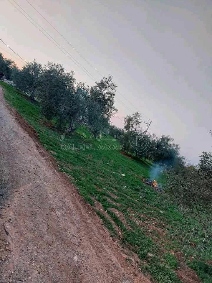 أرض في قطعة أرض مميزه للبيع   - 160,000 دأ - صورة 5