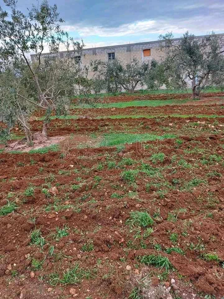 أرض في قطعة أرض مميزه للبيع   - 160,000 دأ - صورة 2