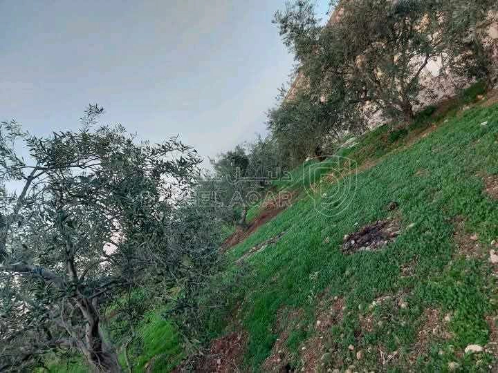 أرض في قطعة أرض مميزه للبيع   - 160,000 دأ - صورة 3