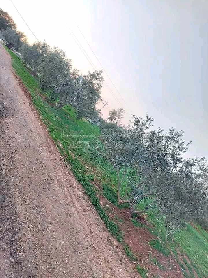 أرض في قطعة أرض مميزه للبيع   - 160,000 دأ - صورة 4