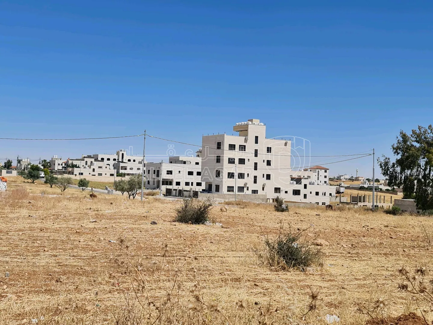 أرض في عمان / جاوا بالقرب من السوق المركزي - 48,000 دأ - صورة 1