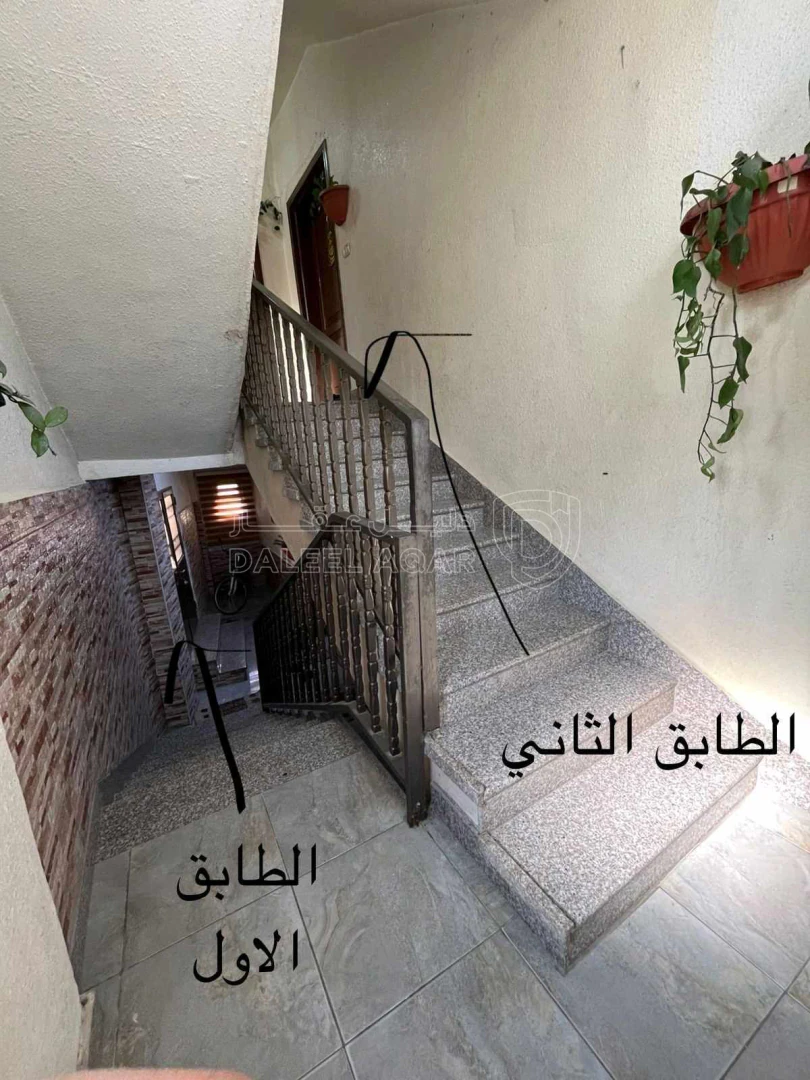 مبنى في الزرقاء حي معصوم الجبل الثاني شارع البتاني - 75,000 دأ - صورة 11