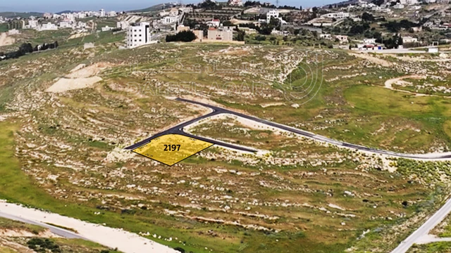 أرض في أرض سكنية للبيع في شفا بدران - زينات الربوع - 75,000 دأ - صورة NaN