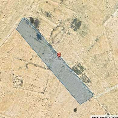 أرض في مشروع اراضي ام رصاص قطع 10دنم - 38,760 دأ - صورة 1