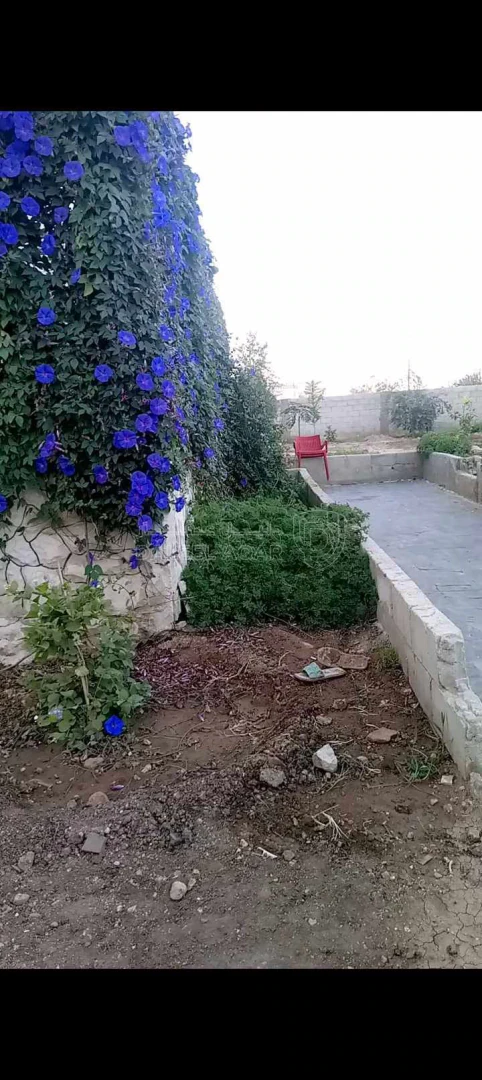 فيلا/منزل في العدسية مقابل دفاع مدني العدسية لواء ناعور  - 65,000 دأ - صورة 1