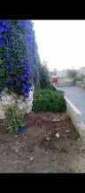 فيلا/منزل - العدسية مقابل دفاع مدني العدسية لواء ناعور  - 65000 دأ