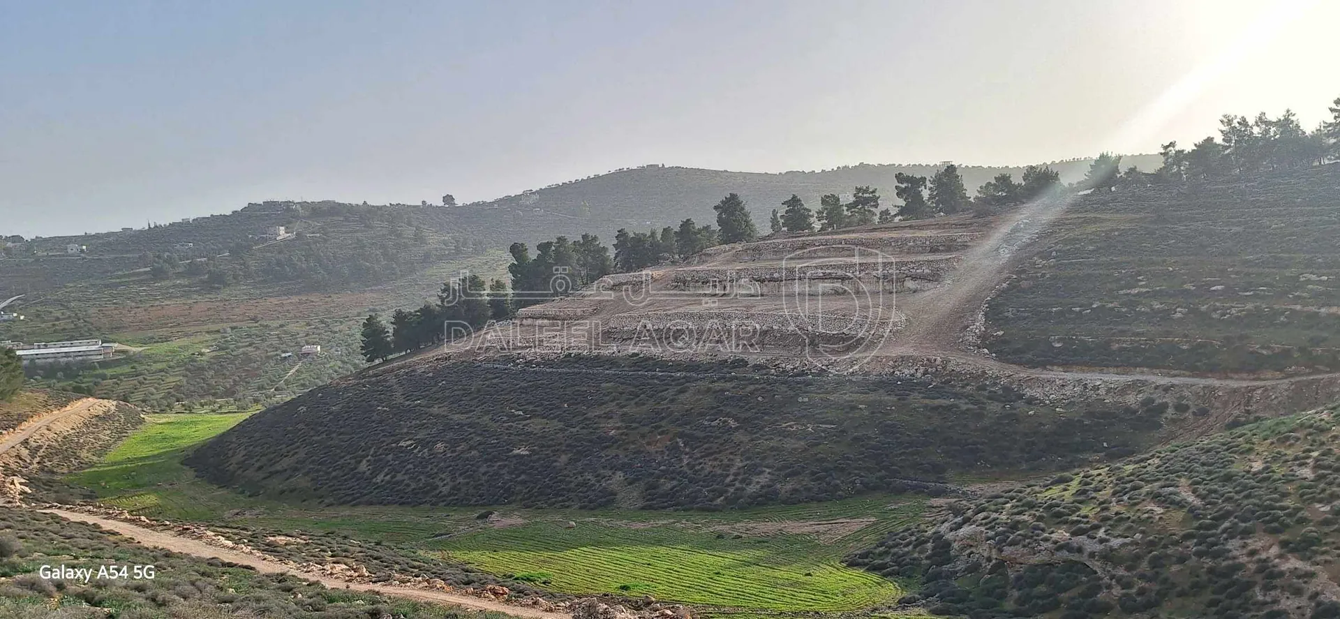 أرض في نادرة على الحد الفاصل بين جرش و المفرق غابةجبا - 77,000 دأ - صورة 1