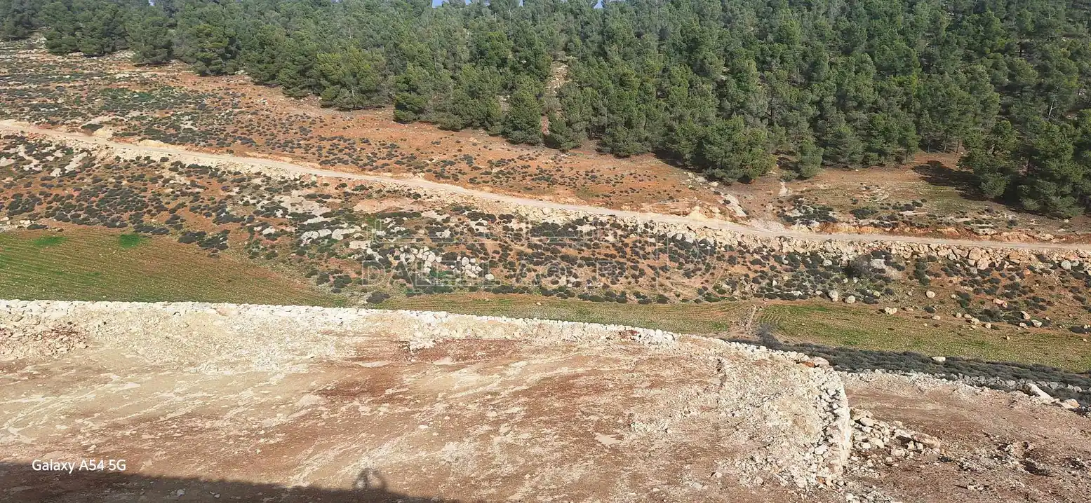 أرض في نادرة على الحد الفاصل بين جرش و المفرق غابةجبا - 77,000 دأ - صورة 1