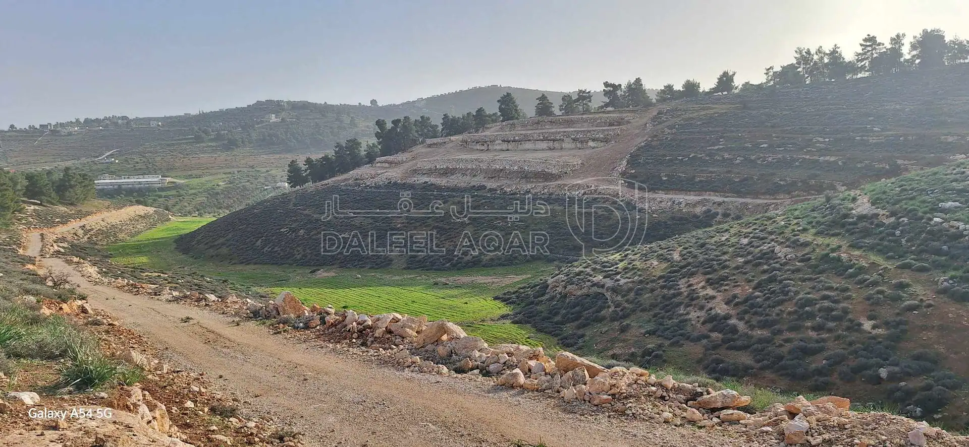 أرض في نادرة على الحد الفاصل بين جرش و المفرق غابةجبا - 77,000 دأ - صورة 1
