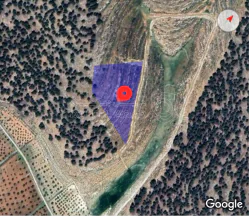 أرض - نادرة على الحد الفاصل بين جرش و المفرق غابةجبا - 77000 دأ
