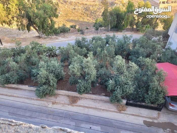 شقة في عمان/ طبربور/  إسكان القوات المسلحة  - 65,000 دأ - صورة 9