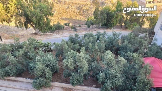 شقة في عمان/ طبربور/  إسكان القوات المسلحة  - 65,000 دأ - صورة NaN