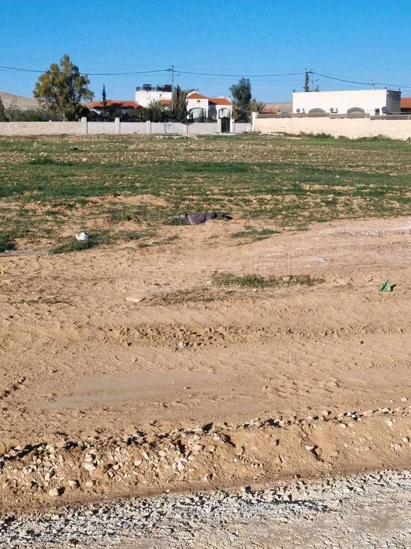 أرض في عمان النقيرة شارع الستين  - 20,000 دأ - صورة 1