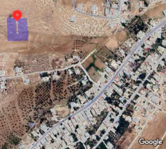أرض في  شرق المنشيه  - 65,000 دأ - صورة NaN