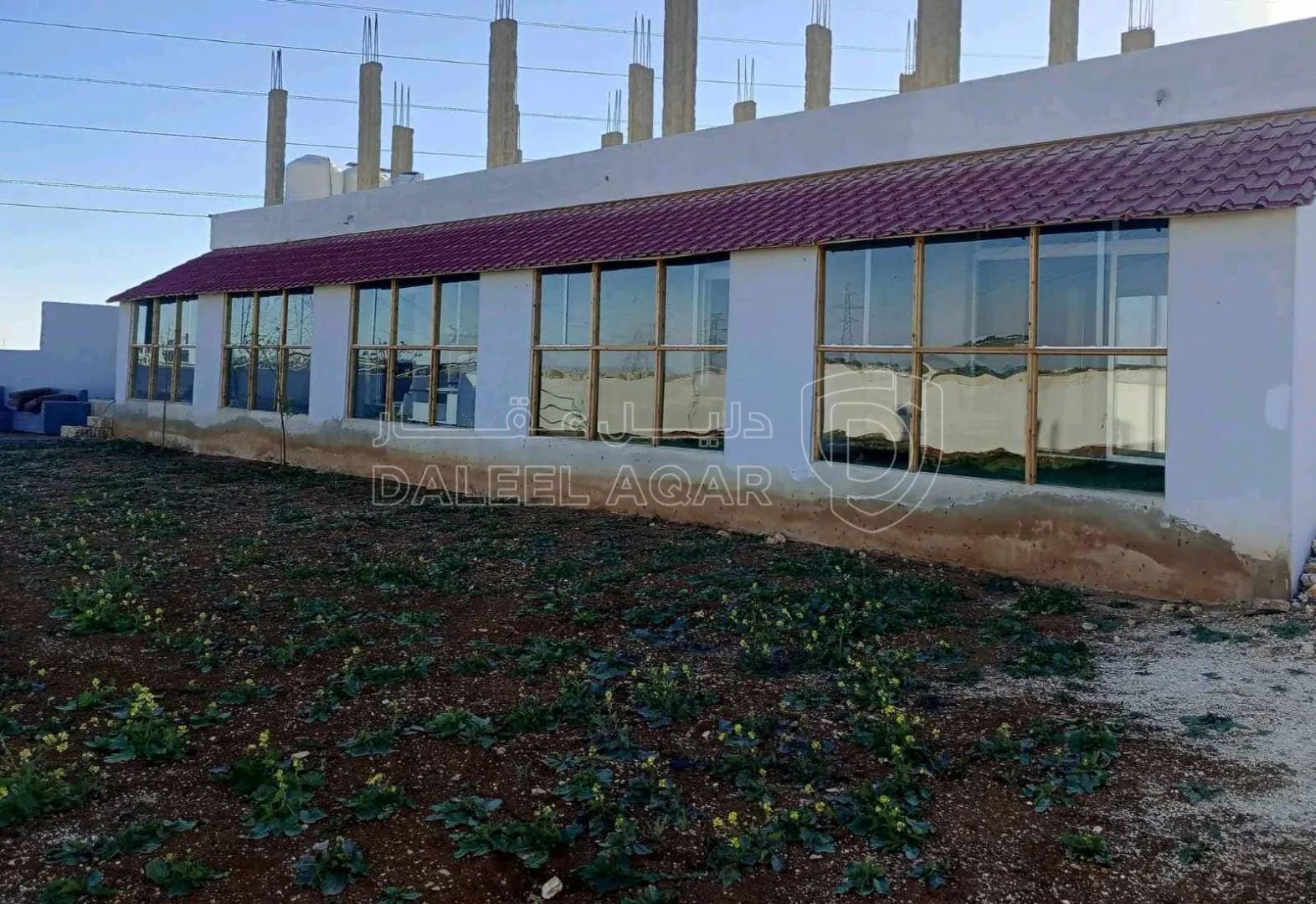 مبنى في عمان الجيزه خلف مطعم التركي - 75,000 دأ - صورة 1