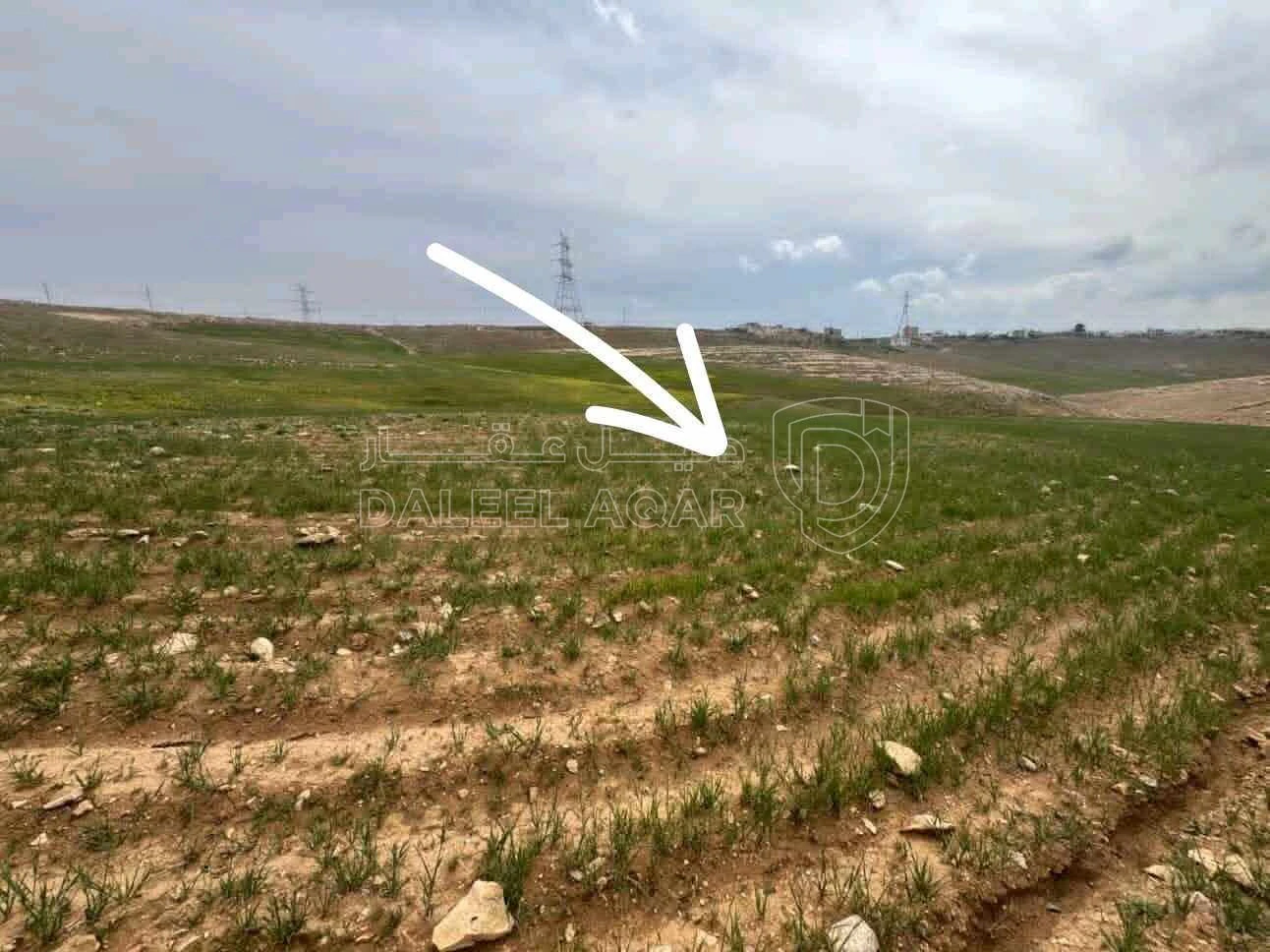 أرض في وادي العش بالقرب من مدرسة البيضاء الشمالية  - 60,000 دأ - صورة 1