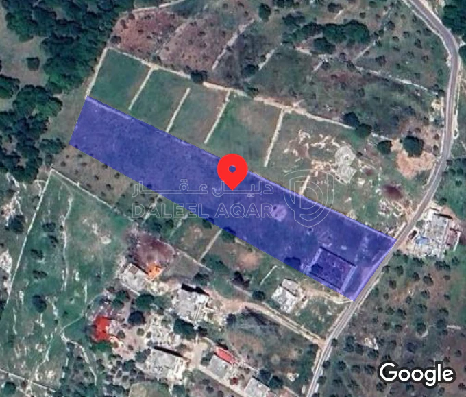 أرض في الأشرفية منطقه نصير قريب من القصور الملكيه  - 50,000 دأ - صورة 1