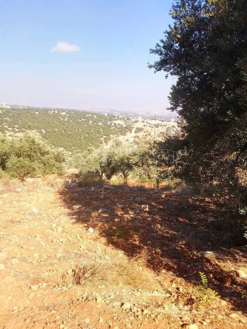 أرض في السلط دعم الغزالات بالقرب من مسجد عباد الرحمن - 225,000 دأ - صورة 1