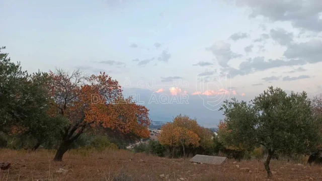 أرض في السلط دعم الغزالات بالقرب من مسجد عباد الرحمن - 225,000 دأ - صورة 1