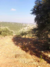 أرض في السلط دعم الغزالات بالقرب من مسجد عباد الرحمن - 225,000 دأ - صورة NaN