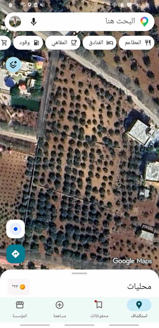 أرض في جرش/جملا/بجانب مزرعة ريفيرا دبين - 90,000 دأ - صورة 2