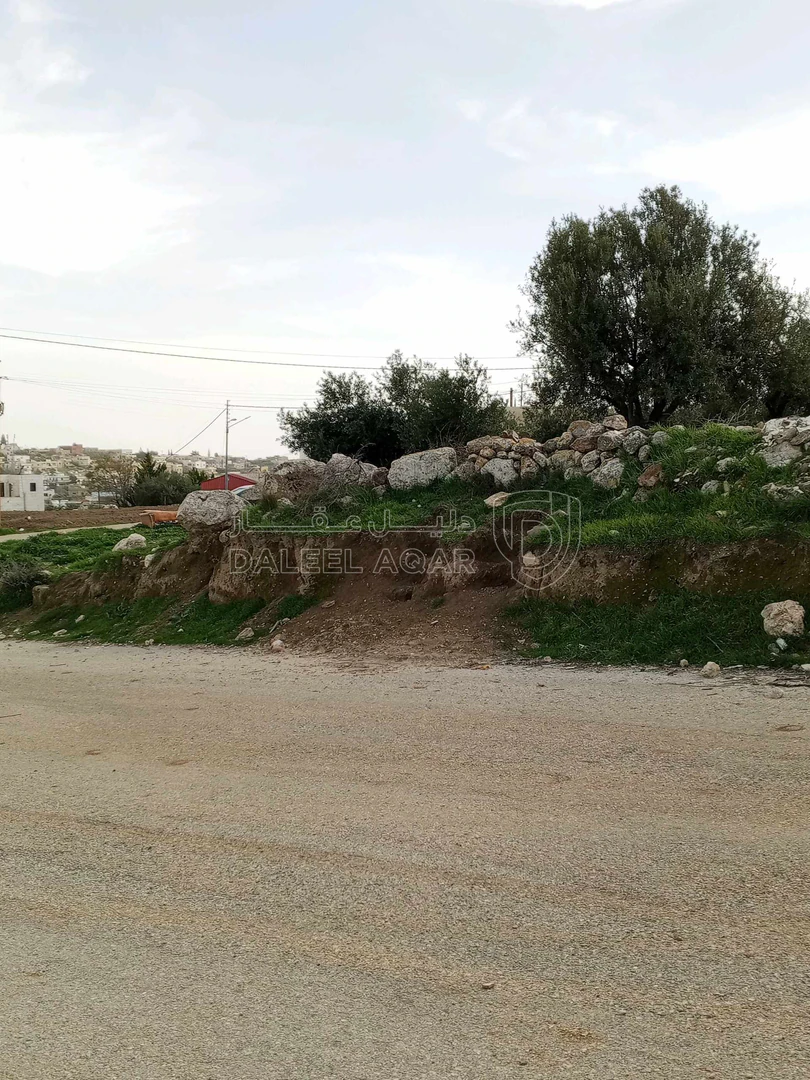 أرض في 1040م سكن ج العال والروضة حوض بدر من اراضي ناعور - 75,000 دأ - صورة 1
