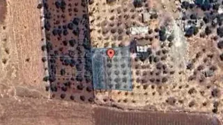 أرض - محافظة العاصمة-جنوب عمان- نافع- الحنو الغربي - 60000 دأ