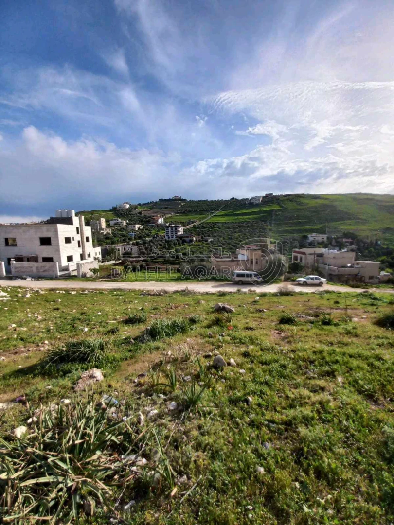 أرض في السرو قرب معسكر الحسين للشباب  - 65,000 دأ - صورة 1