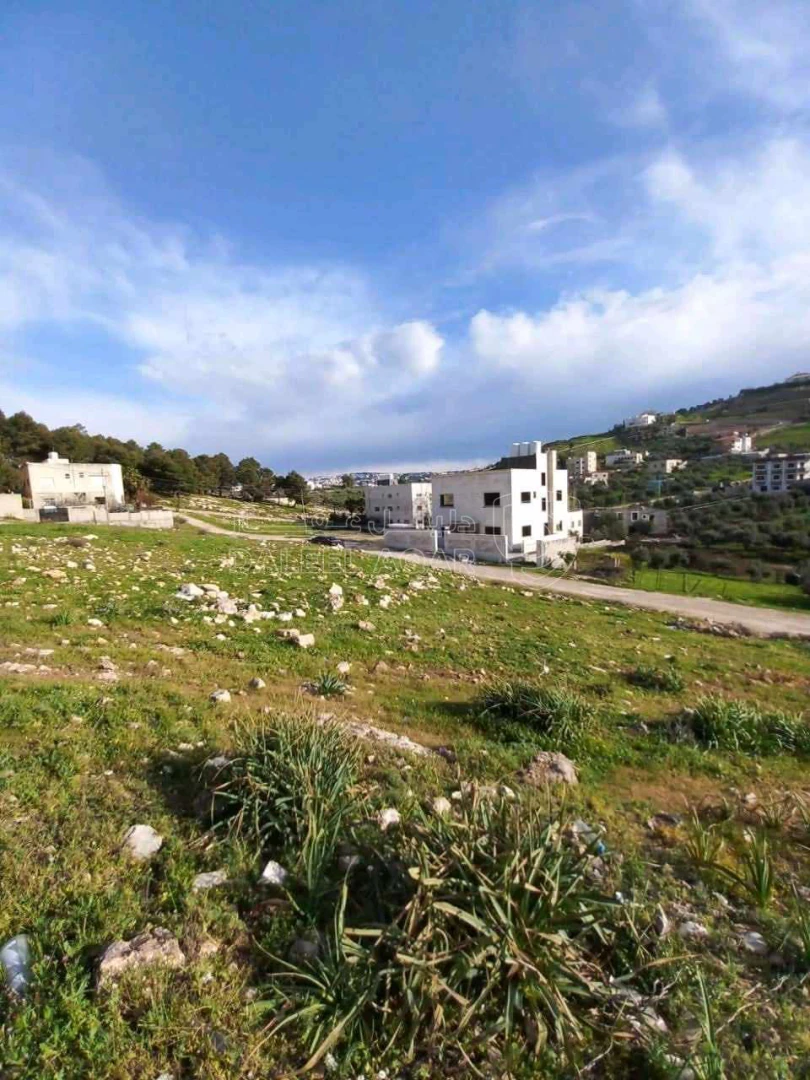 أرض في السرو قرب معسكر الحسين للشباب  - 65,000 دأ - صورة 1