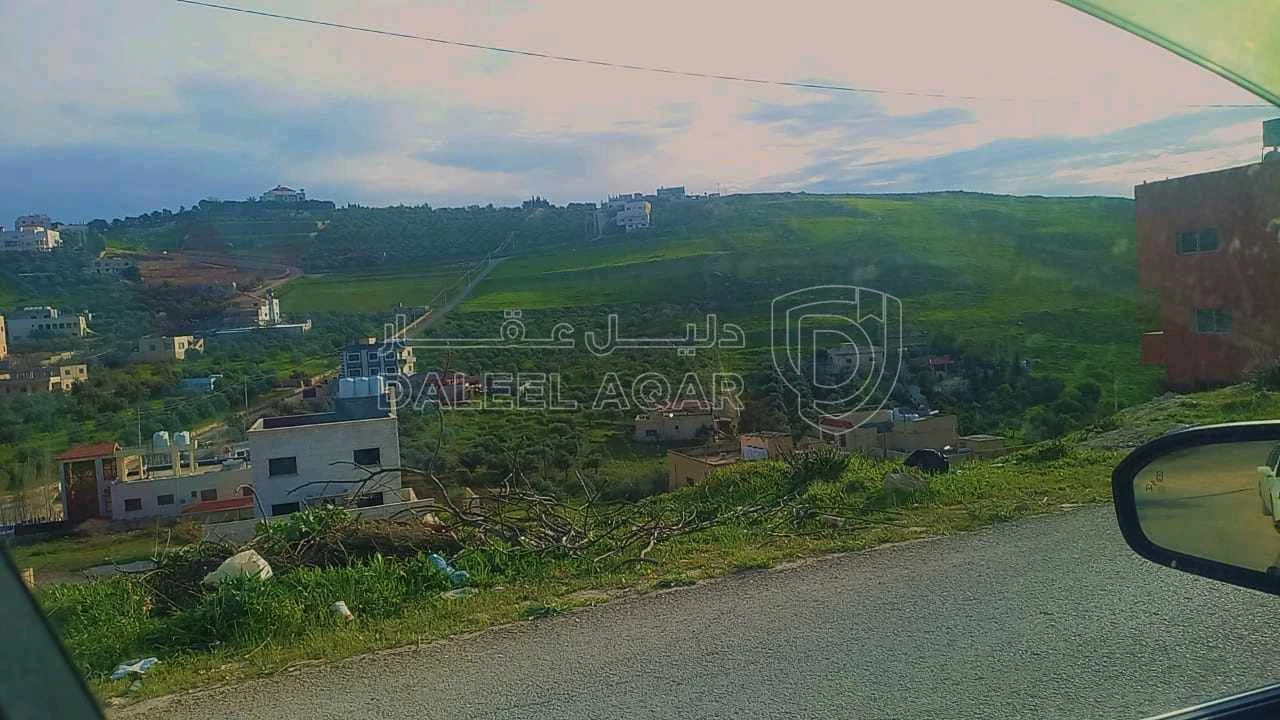 أرض في السرو قرب معسكر الحسين للشباب  - 65,000 دأ - صورة 1