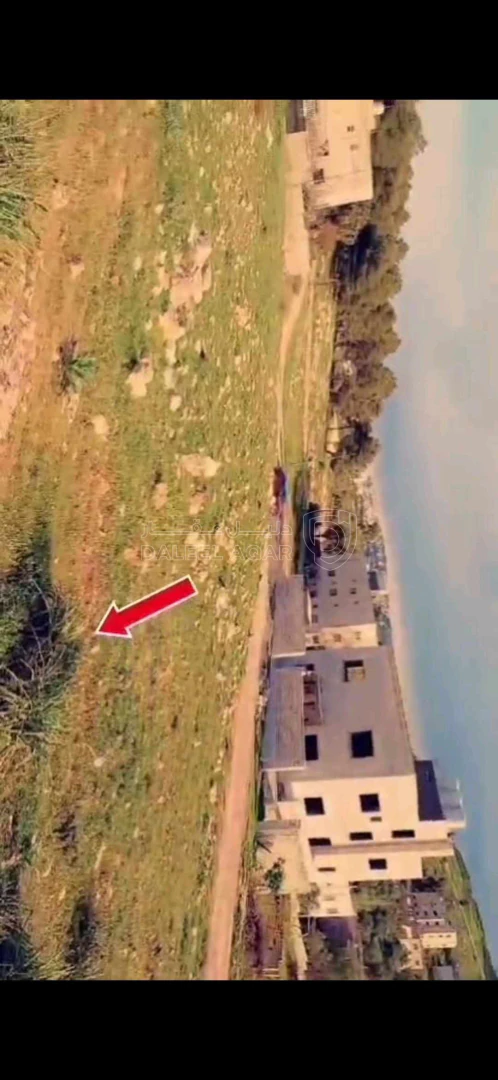 أرض في السرو قرب معسكر الحسين للشباب  - 65,000 دأ - صورة 1