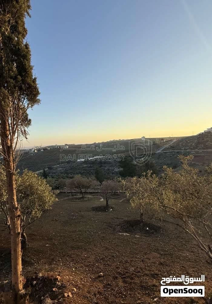 أرض في فرصة استثمارية مميزة - أرض للبيع في جريبا / الزرقا - 100,000 دأ - صورة 3