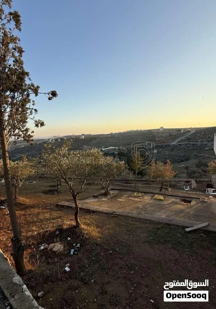 أرض في فرصة استثمارية مميزة - أرض للبيع في جريبا / الزرقا - 100,000 دأ - صورة 2