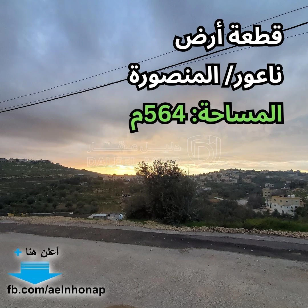 أرض في  ناعور/ المنصورة - قرب مسجد عائشة الكبير - 45,000 دأ - صورة 1