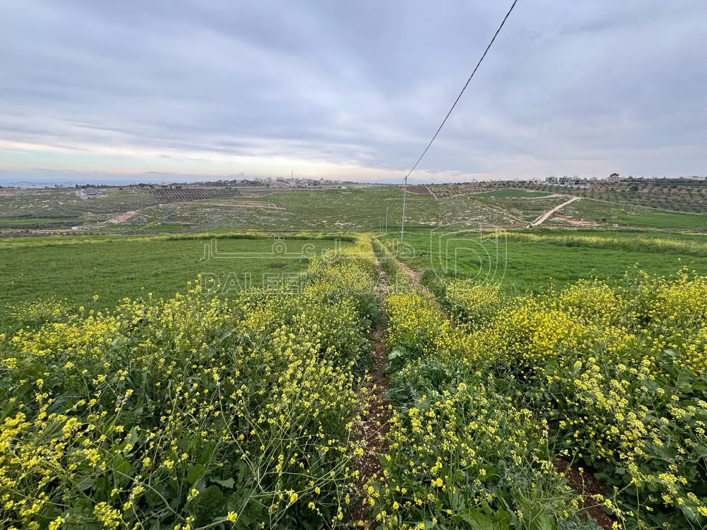 أرض في اربد هام حوض البرانس / طريق البترول  - 135,000 دأ - صورة 1