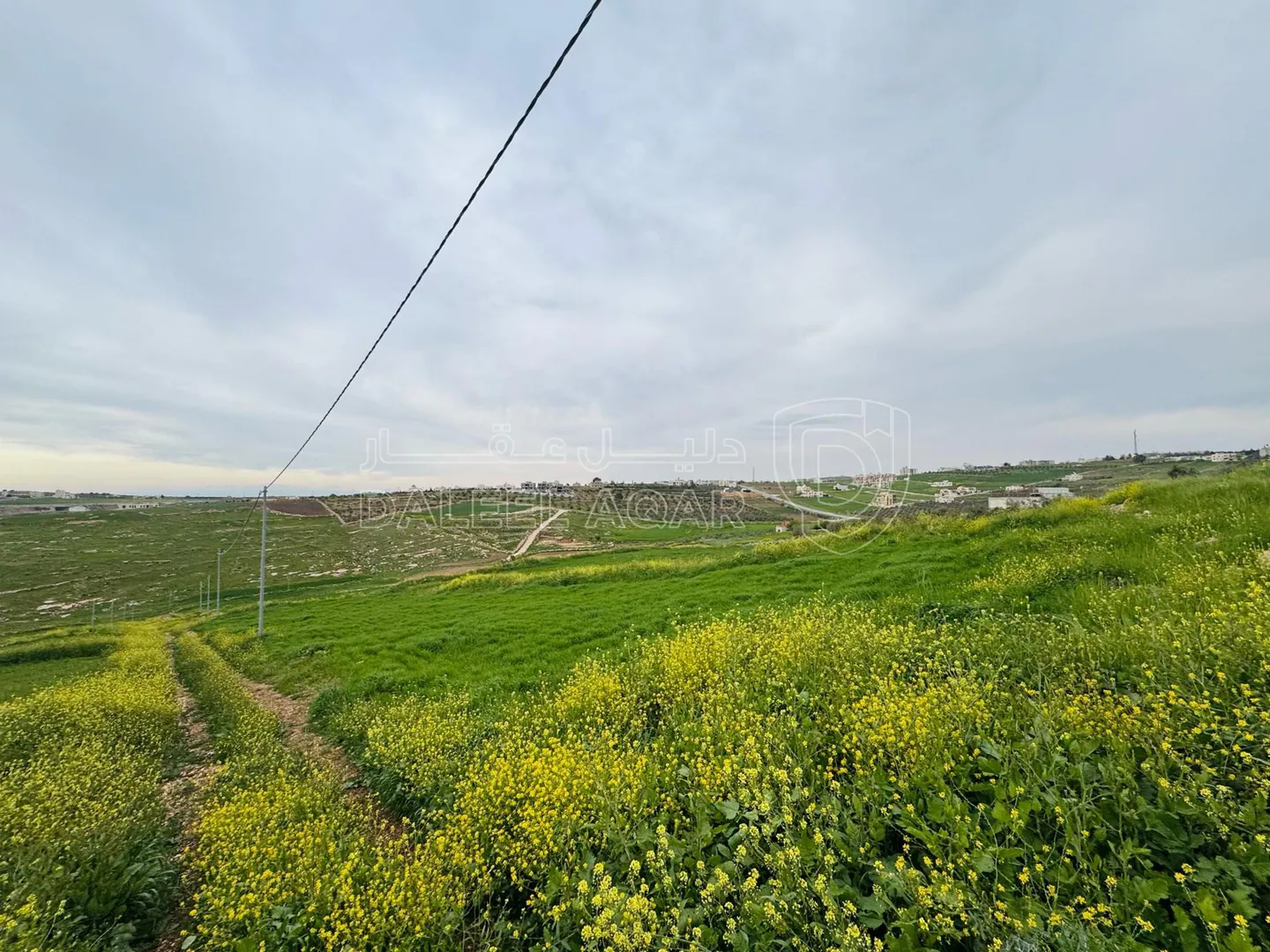 أرض في اربد هام حوض البرانس / طريق البترول  - 135,000 دأ - صورة 1