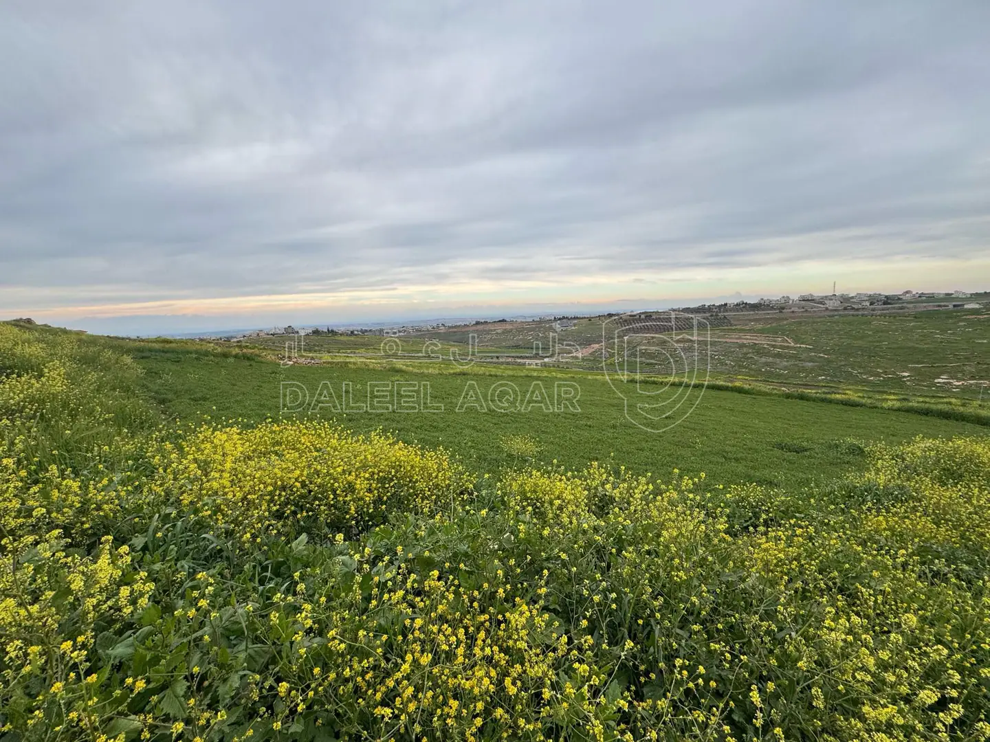 أرض في اربد هام حوض البرانس / طريق البترول  - 135,000 دأ - صورة 1