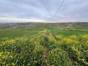 أرض في اربد هام حوض البرانس / طريق البترول  - 140,000 دأ - صورة NaN