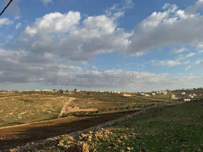 أرض في اربد هام حوض البرانس / طريق البترول  - 140,000 دأ - صورة NaN