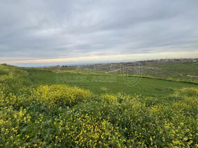 أرض في اربد هام حوض البرانس / طريق البترول  - 140,000 دأ - صورة NaN