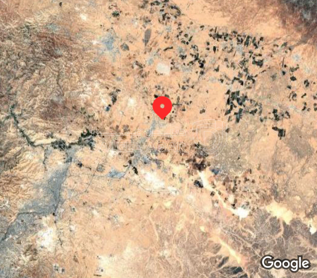 أرض في الخالديه - 13,000 دأ - صورة 1
