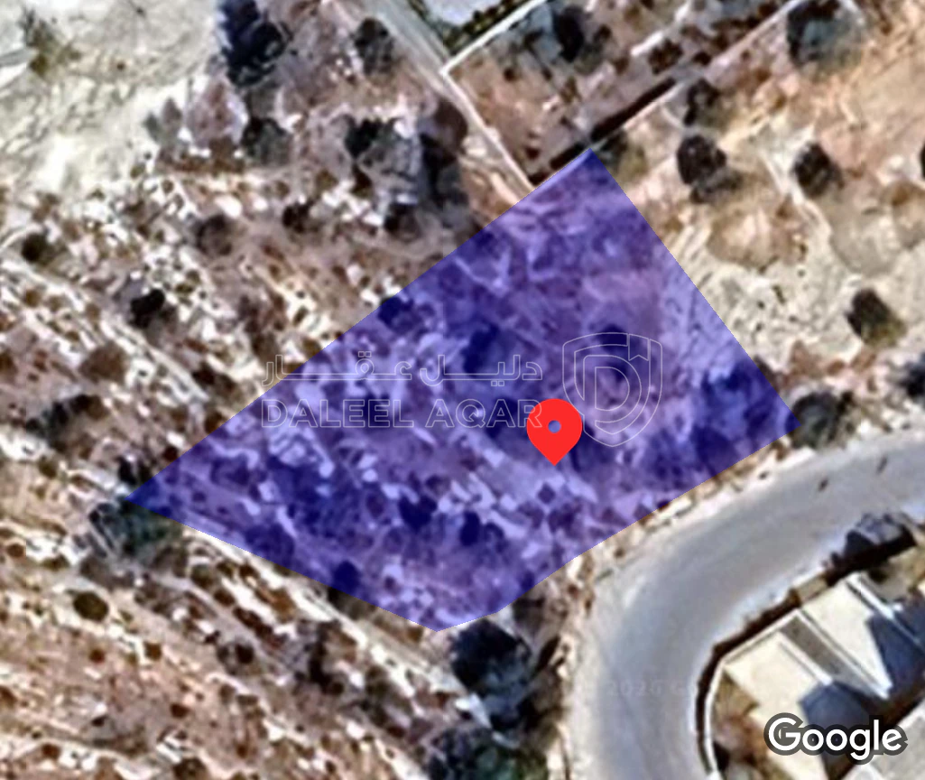 أرض في ارض للبيع في السلط سواء الجنوبي  - 40,000 دأ - صورة 1