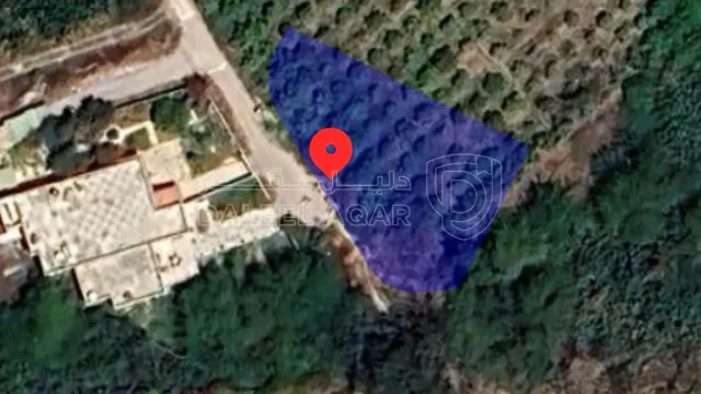 أرض في الشحنة الجنوبية، غور نمرين  - 50,000 دأ - صورة 1